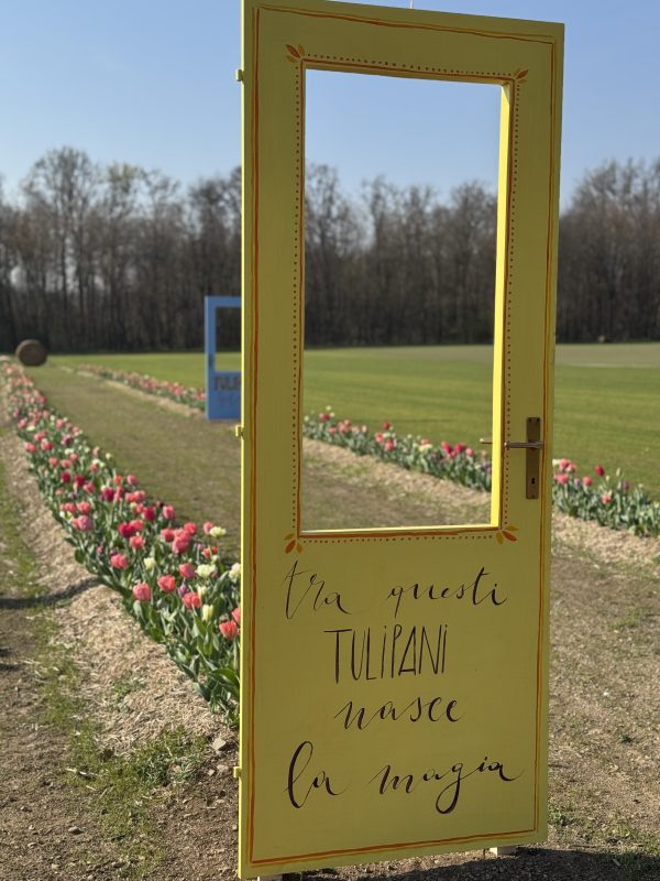 Tulilandia 2026