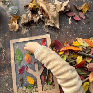 Il prato d'autunno